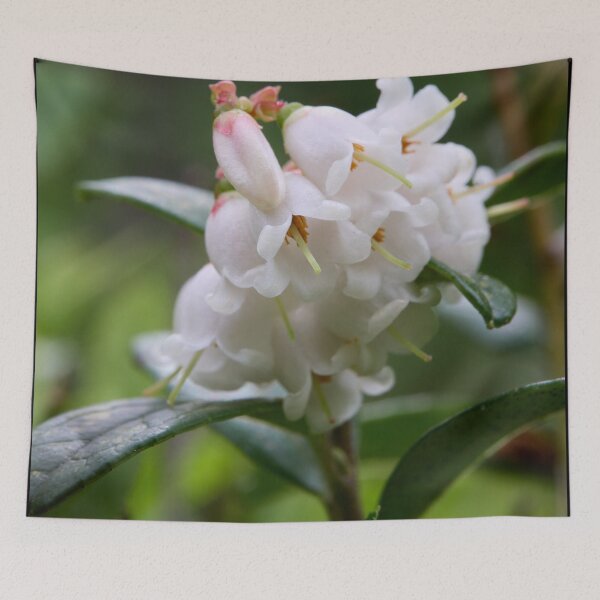 Item preview, Summer flowers. Lingonberry designed and sold by Jouko Lehto Photography.