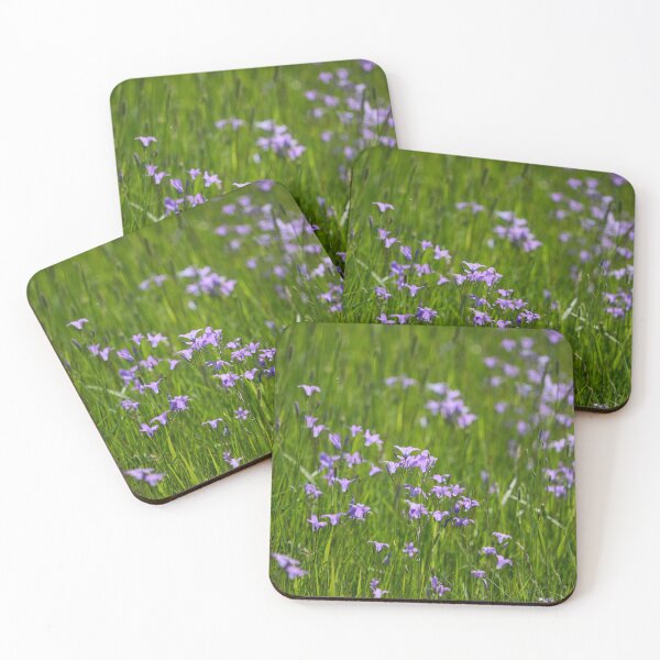 Item preview, The field. Spreading Bellflower designed and sold by Jouko Lehto Photography.