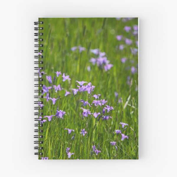 Item preview, The field. Spreading Bellflower designed and sold by Jouko Lehto Photography.