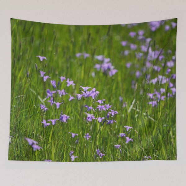 Item preview, The field. Spreading Bellflower designed and sold by Jouko Lehto Photography.