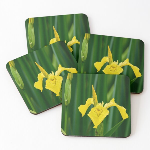 Item preview, Flags up. Yellow iris designed and sold by Jouko Lehto Photography.