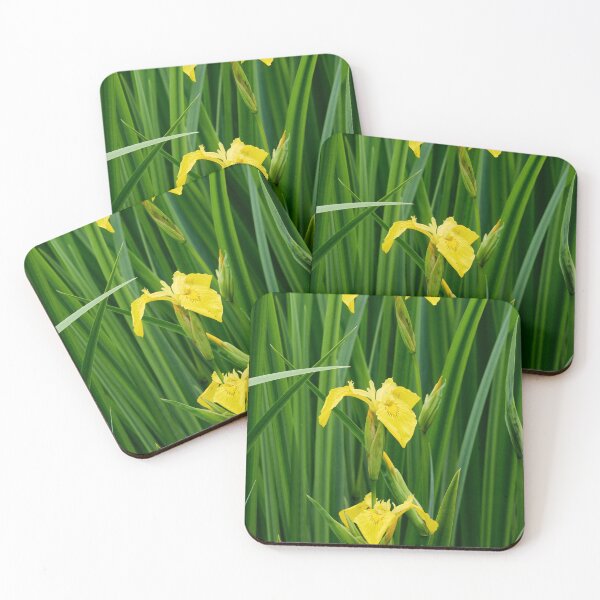 Item preview, Line of three. Yellow iris designed and sold by Jouko Lehto Photography.