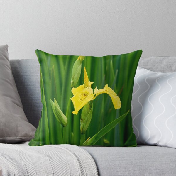 Item preview, First open. Yellow iris designed and sold by Jouko Lehto Photography.