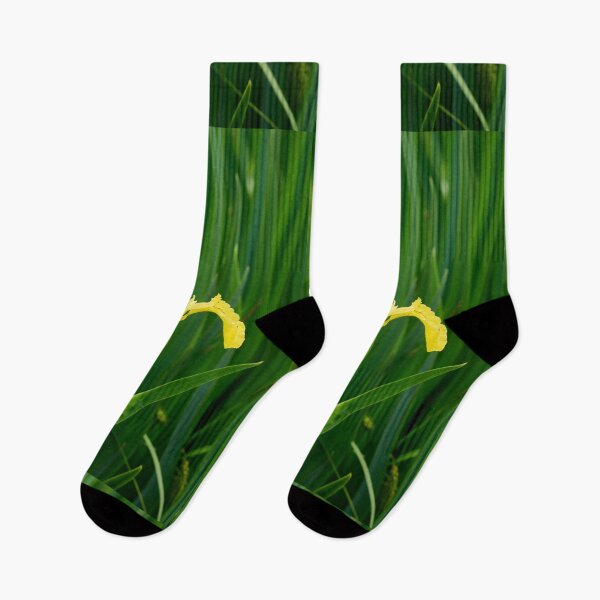 Item preview, First open. Yellow iris designed and sold by Jouko Lehto Photography.