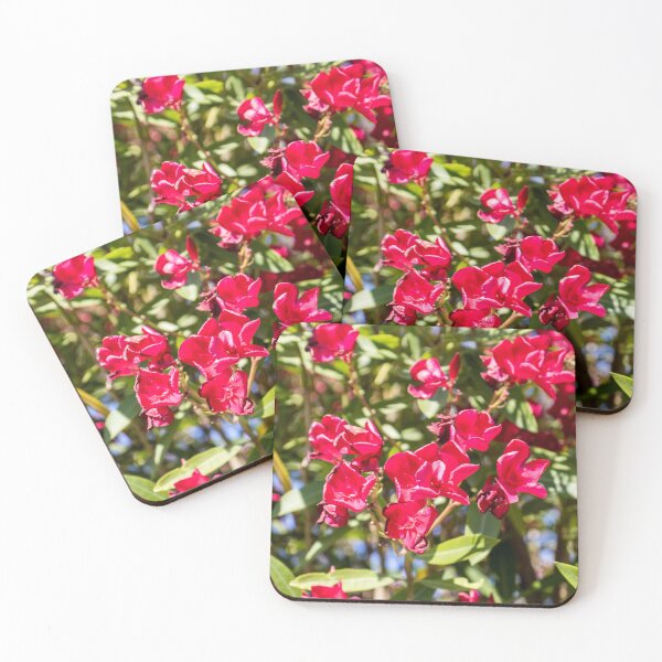 Item preview, Bright Red Oleander Flowers In Sunlit Garden With Green Leaves And Summer Bloom designed and sold by Nmallia.