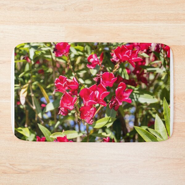 Item preview, Bright Red Oleander Flowers In Sunlit Garden With Green Leaves And Summer Bloom designed and sold by Nmallia.