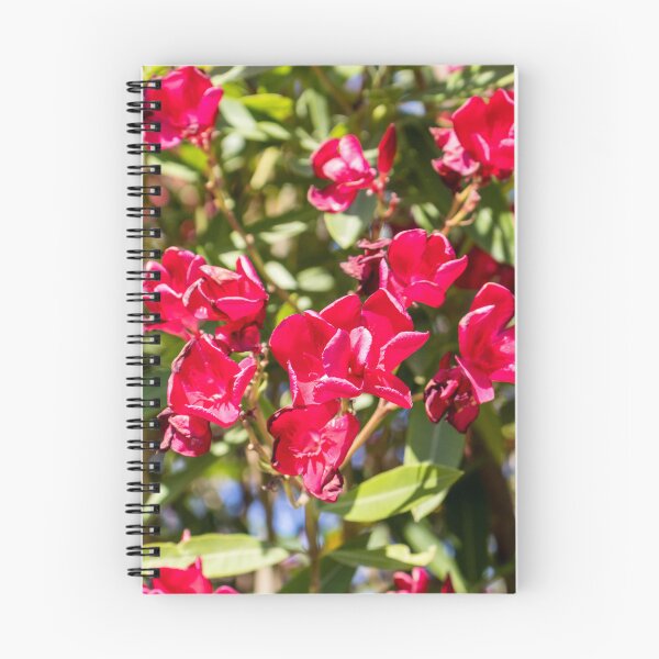 Item preview, Bright Red Oleander Flowers In Sunlit Garden With Green Leaves And Summer Bloom designed and sold by Nmallia.