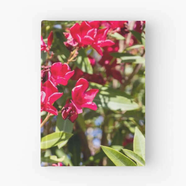 Item preview, Bright Red Oleander Flowers In Sunlit Garden With Green Leaves And Summer Bloom designed and sold by Nmallia.