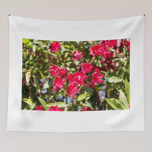 Item preview, Bright Red Oleander Flowers In Sunlit Garden With Green Leaves And Summer Bloom designed and sold by Nmallia.