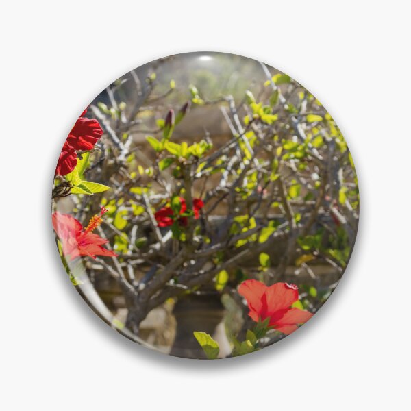 Item preview, Red Hibiscus Flowers Blooming On A Garden Hedge With Stone Balustrade In Sunny Light designed and sold by Nmallia.