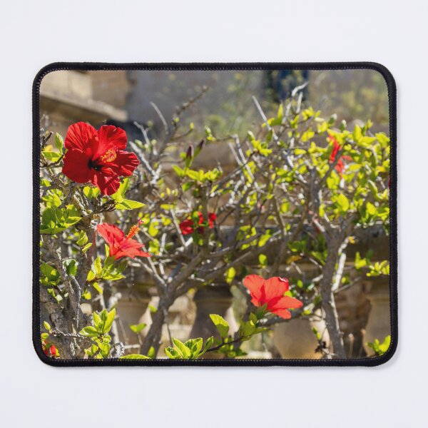 Item preview, Red Hibiscus Flowers Blooming On A Garden Hedge With Stone Balustrade In Sunny Light designed and sold by Nmallia.