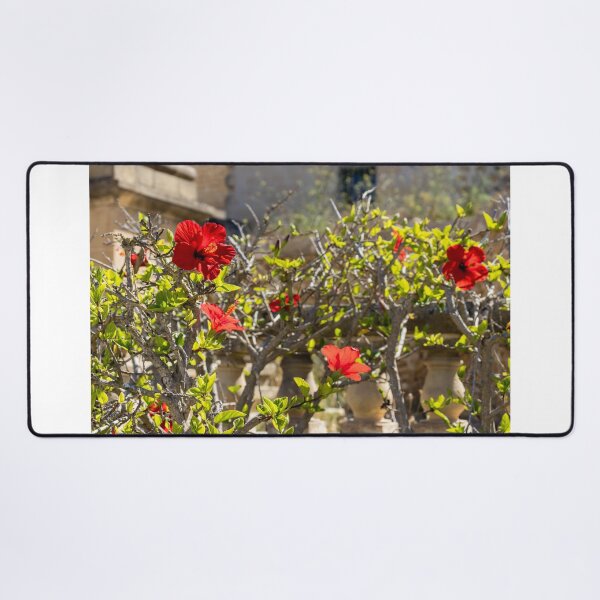Item preview, Red Hibiscus Flowers Blooming On A Garden Hedge With Stone Balustrade In Sunny Light designed and sold by Nmallia.