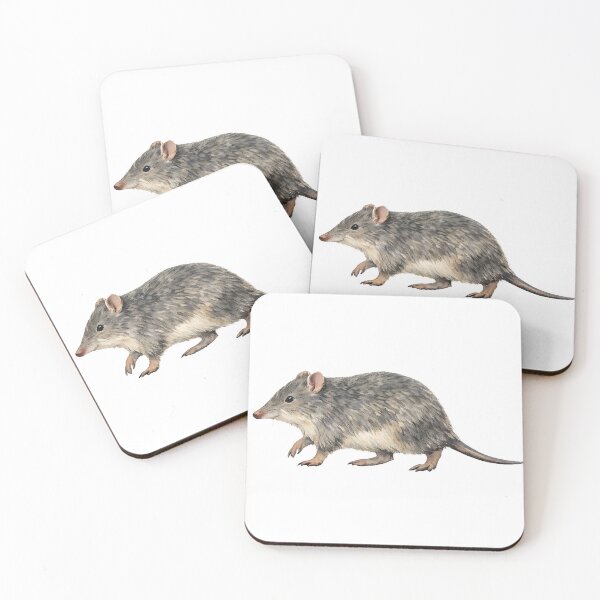 Item preview, Southern Brown Bandicoot Watercolour Art designed and sold by Jaruart.