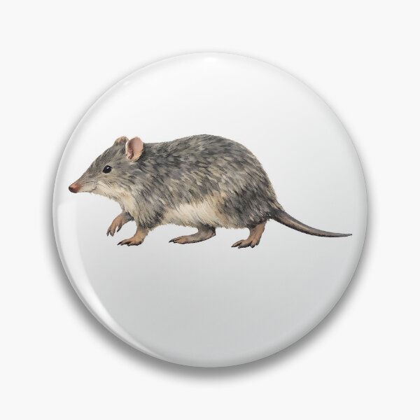 Item preview, Southern Brown Bandicoot Watercolour Art designed and sold by Jaruart.