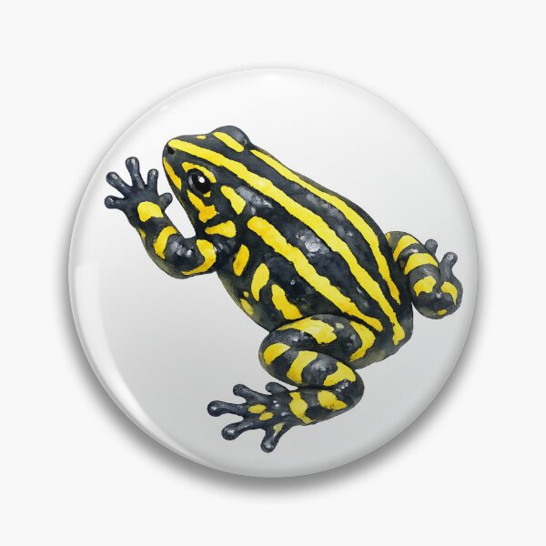 Item preview, Corroboree Frog Watercolour Painting designed and sold by Jaruart.