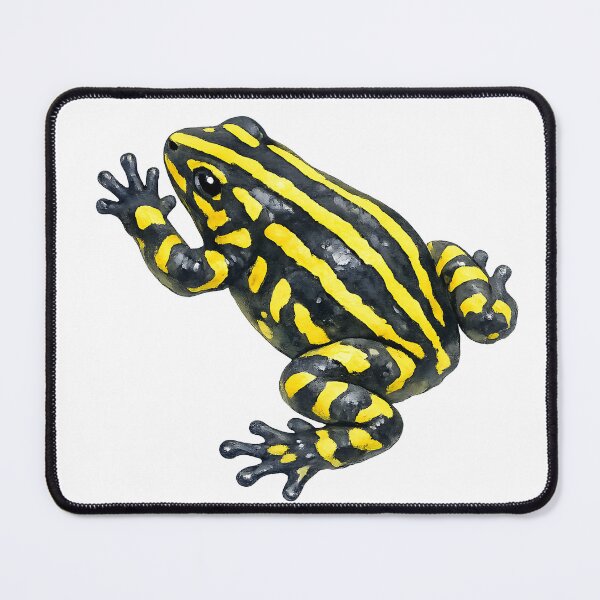 Item preview, Corroboree Frog Watercolour Painting designed and sold by Jaruart.