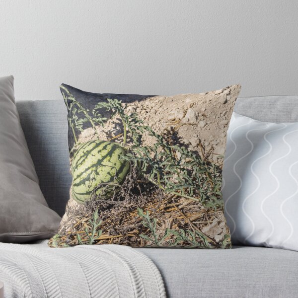 Item preview, Wild Watermelon Growing on Dry Ground With Striped Rind and Vining Leaves in Sunny Field designed and sold by Nmallia.