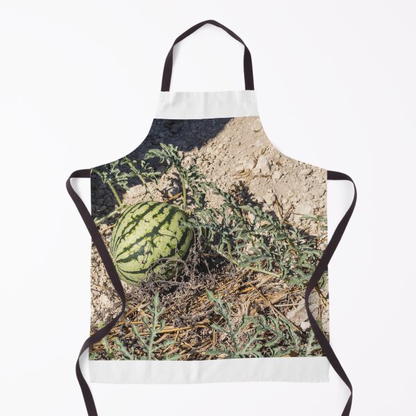 Item preview, Wild Watermelon Growing on Dry Ground With Striped Rind and Vining Leaves in Sunny Field designed and sold by Nmallia.