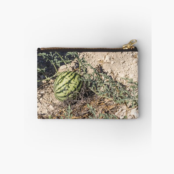 Item preview, Wild Watermelon Growing on Dry Ground With Striped Rind and Vining Leaves in Sunny Field designed and sold by Nmallia.