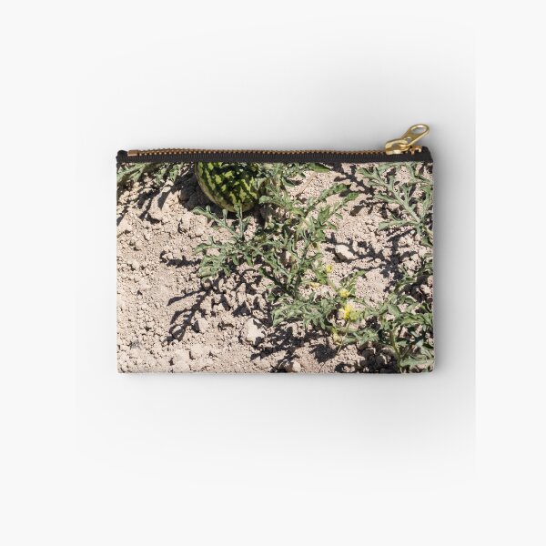 Item preview, Wild Watermelon Growing on Dry Ground With Striped Rind and Vining Leaves in Sunny Field designed and sold by Nmallia.