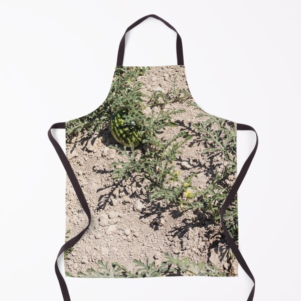 Item preview, Wild Watermelon Growing on Dry Ground With Striped Rind and Vining Leaves in Sunny Field designed and sold by Nmallia.