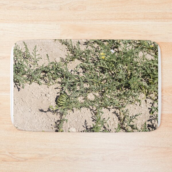 Item preview, Wild Watermelon Growing on Dry Ground With Striped Rind and Vining Leaves in Sunny Field designed and sold by Nmallia.