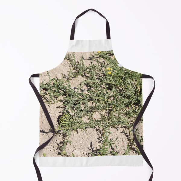 Item preview, Wild Watermelon Growing on Dry Ground With Striped Rind and Vining Leaves in Sunny Field designed and sold by Nmallia.