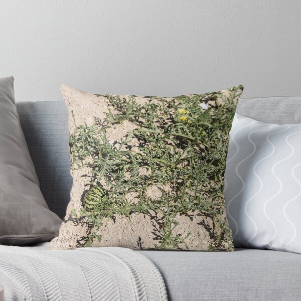 Item preview, Wild Watermelon Growing on Dry Ground With Striped Rind and Vining Leaves in Sunny Field designed and sold by Nmallia.