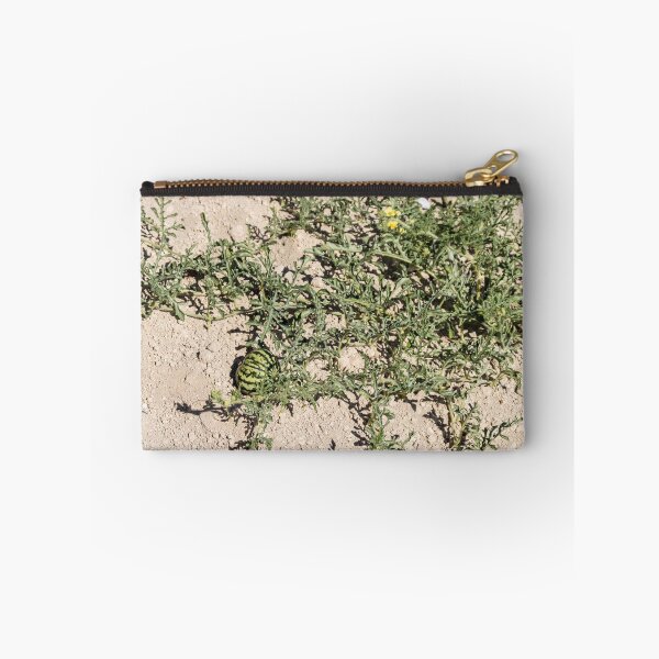 Item preview, Wild Watermelon Growing on Dry Ground With Striped Rind and Vining Leaves in Sunny Field designed and sold by Nmallia.