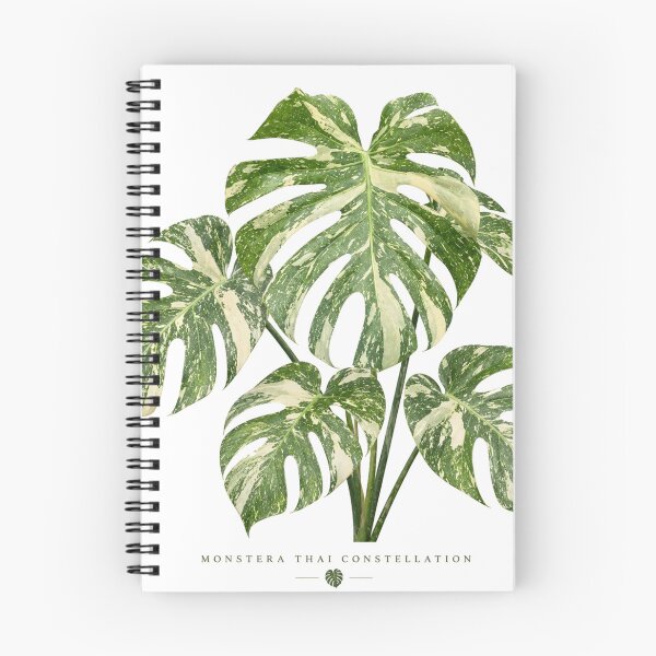 Item preview, Monstera Thai Constellation Botanical Print designed and sold by Mikena1996.