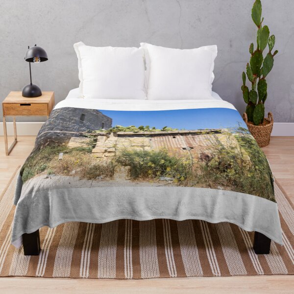 Item preview, Rusty Metal Door on Abandoned Stone Shed With Prickly Pear Cactus Under Clear Blue Sky designed and sold by Nmallia.