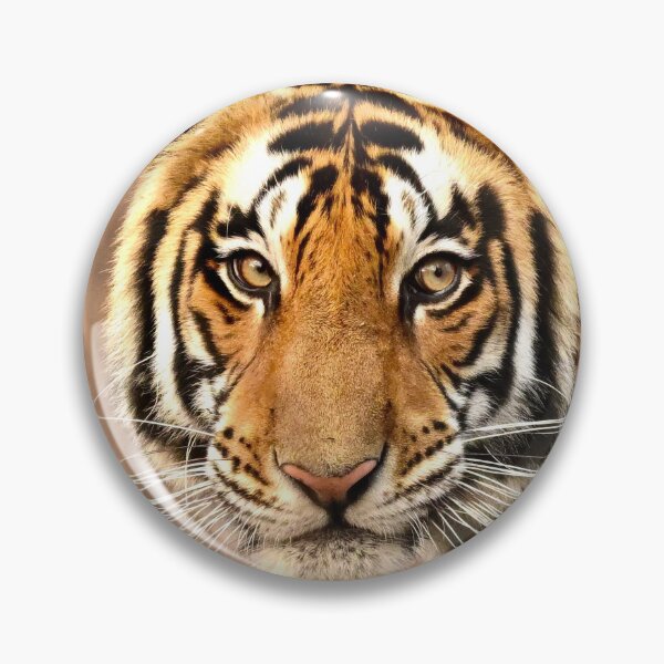 Item preview, Tyger; 'Who dare to frame thy fearful Symmetry' designed and sold by Ianthe-Safari.