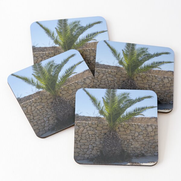 Item preview, Young Palm Tree Growing Against Rustic Stone Wall Under Bright Blue Sky With Sunlit Shadow designed and sold by Nmallia.
