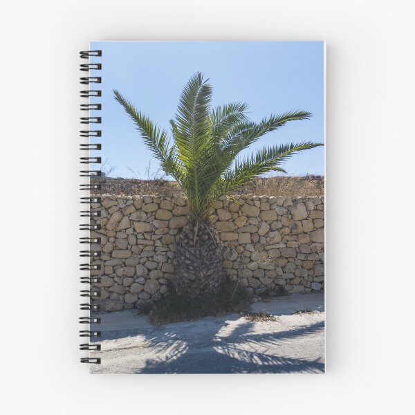 Item preview, Young Palm Tree Growing Against Rustic Stone Wall Under Bright Blue Sky With Sunlit Shadow designed and sold by Nmallia.