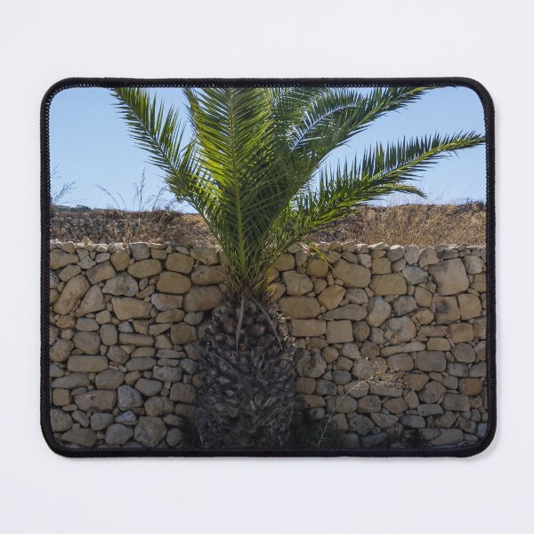 Item preview, Young Palm Tree Growing Against Rustic Stone Wall Under Bright Blue Sky With Sunlit Shadow designed and sold by Nmallia.