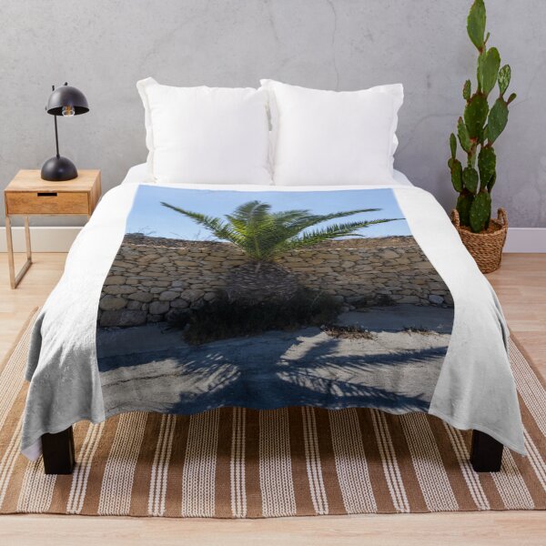 Item preview, Young Palm Tree Growing Against Rustic Stone Wall Under Bright Blue Sky With Sunlit Shadow designed and sold by Nmallia.