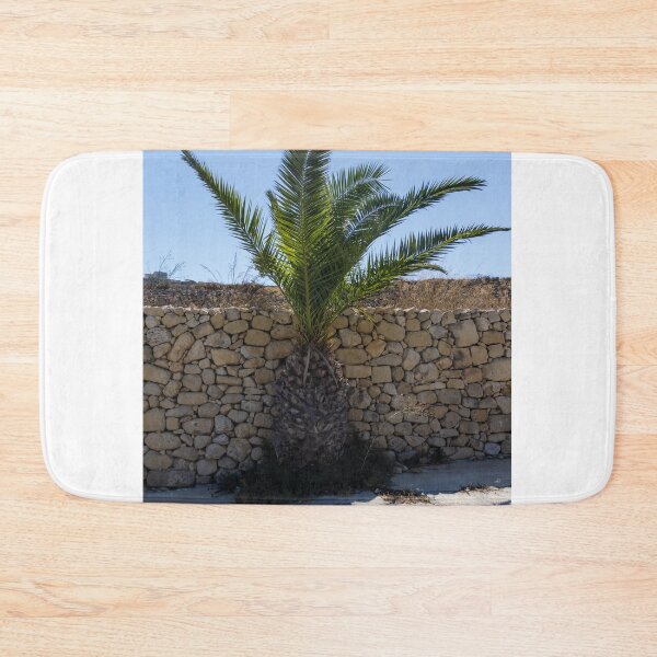Item preview, Young Palm Tree Growing Against Rustic Stone Wall Under Bright Blue Sky With Sunlit Shadow designed and sold by Nmallia.