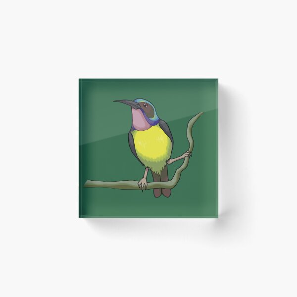 Item preview, Brown-Throated Sunbird designed and sold by CaptainBirdee.
