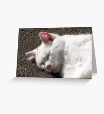 Tina Greeting Card