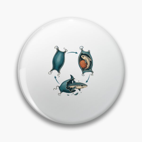 Item preview, Shark Egg – Mermaid’s Purse Marine Biology Art designed and sold by AMICO77.