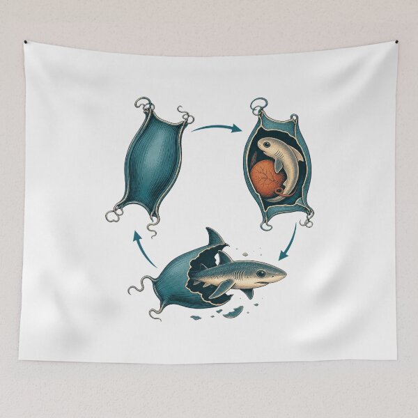 Item preview, Shark Egg – Mermaid’s Purse Marine Biology Art designed and sold by AMICO77.