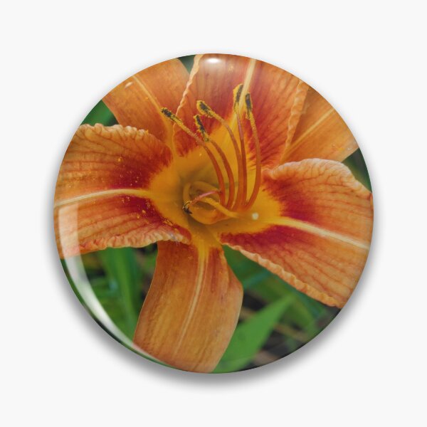 Item preview, Orange Day Lily designed and sold by Rosebughive Photography.