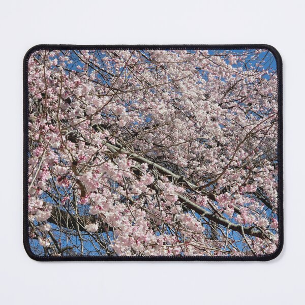 Item preview, Cherry Blossom, Sakura Tree, Japan Cherry Blossom designed and sold by Retr0Skye.