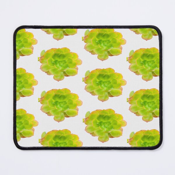 Item preview, Isolated Green Succulent Aeonium Flower Botanical Graphic Cutout designed and sold by BalkanBloom.