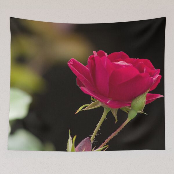 Item preview, rose and bud designed and sold by derekrich.