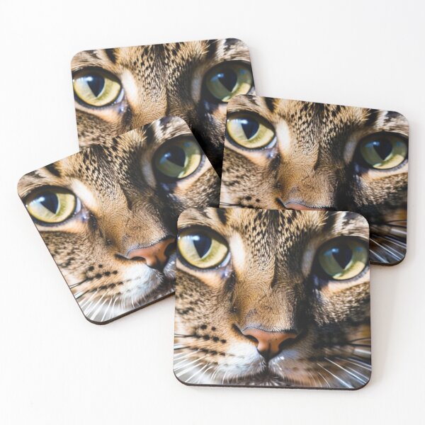 Item preview, Animals - Hybrid Domestic Cat, Striking Animal Portrait designed and sold by World-Pets.