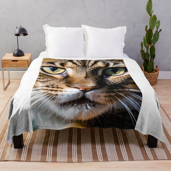 Item preview, Animals - Hybrid Domestic Cat, Striking Animal Portrait designed and sold by World-Pets.