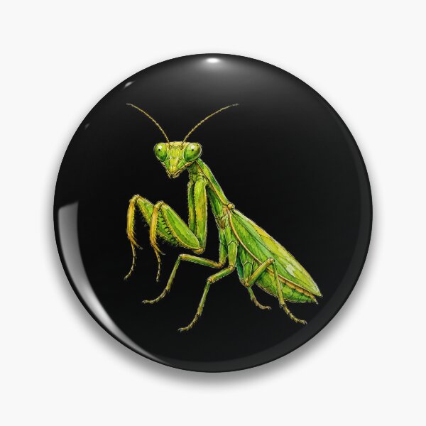 Item preview, Minimal Praying Mantis Watercolor | Hand Drawn Nature Illustration designed and sold by ColorSplash123.