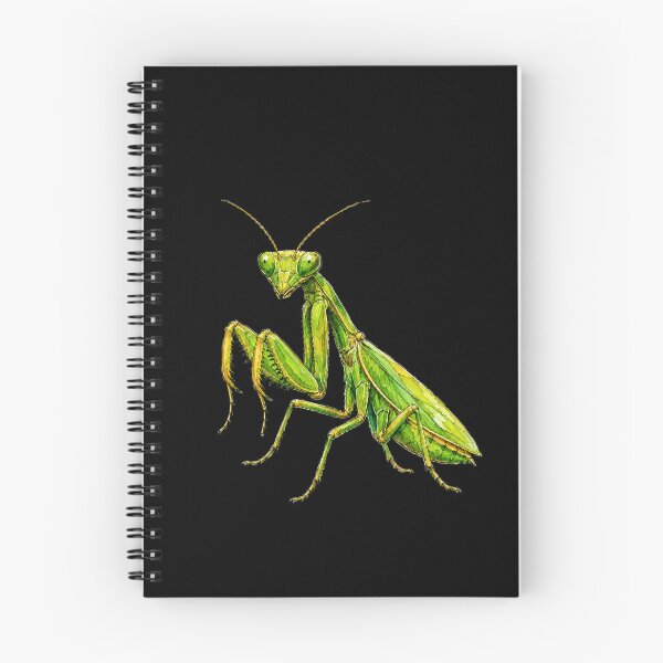 Item preview, Minimal Praying Mantis Watercolor | Hand Drawn Nature Illustration designed and sold by ColorSplash123.