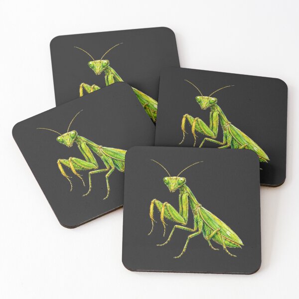 Item preview, Minimal Praying Mantis Watercolor | Hand Drawn Nature Illustration designed and sold by ColorSplash123.
